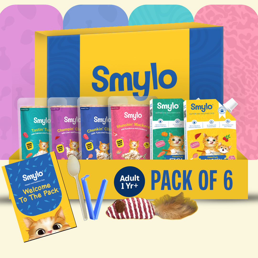 Adult Trial Box (Pack of 4) with 2 Broths