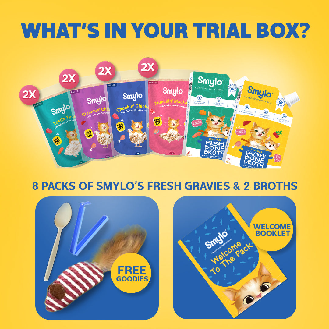 Adult Trial Box (Pack of 10)