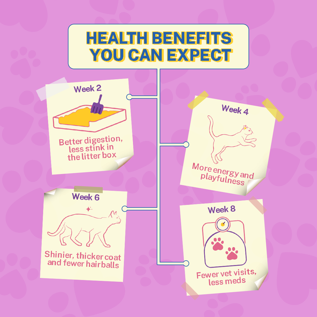 Chompin’ Chicken Liver & Pomegranate (Adult)