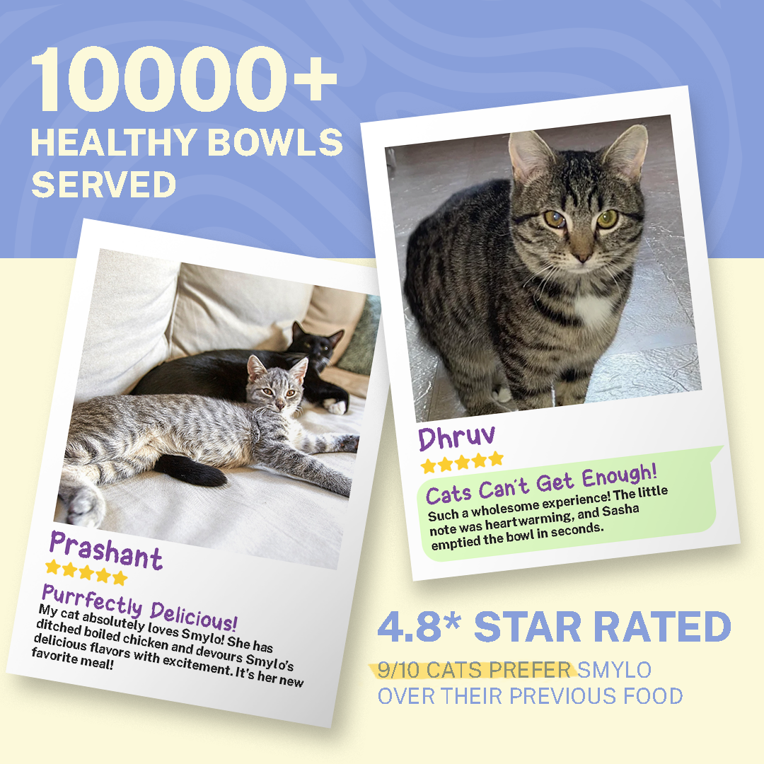 Chunkin’ Chicken with Tuna & Rosemary (Adult)