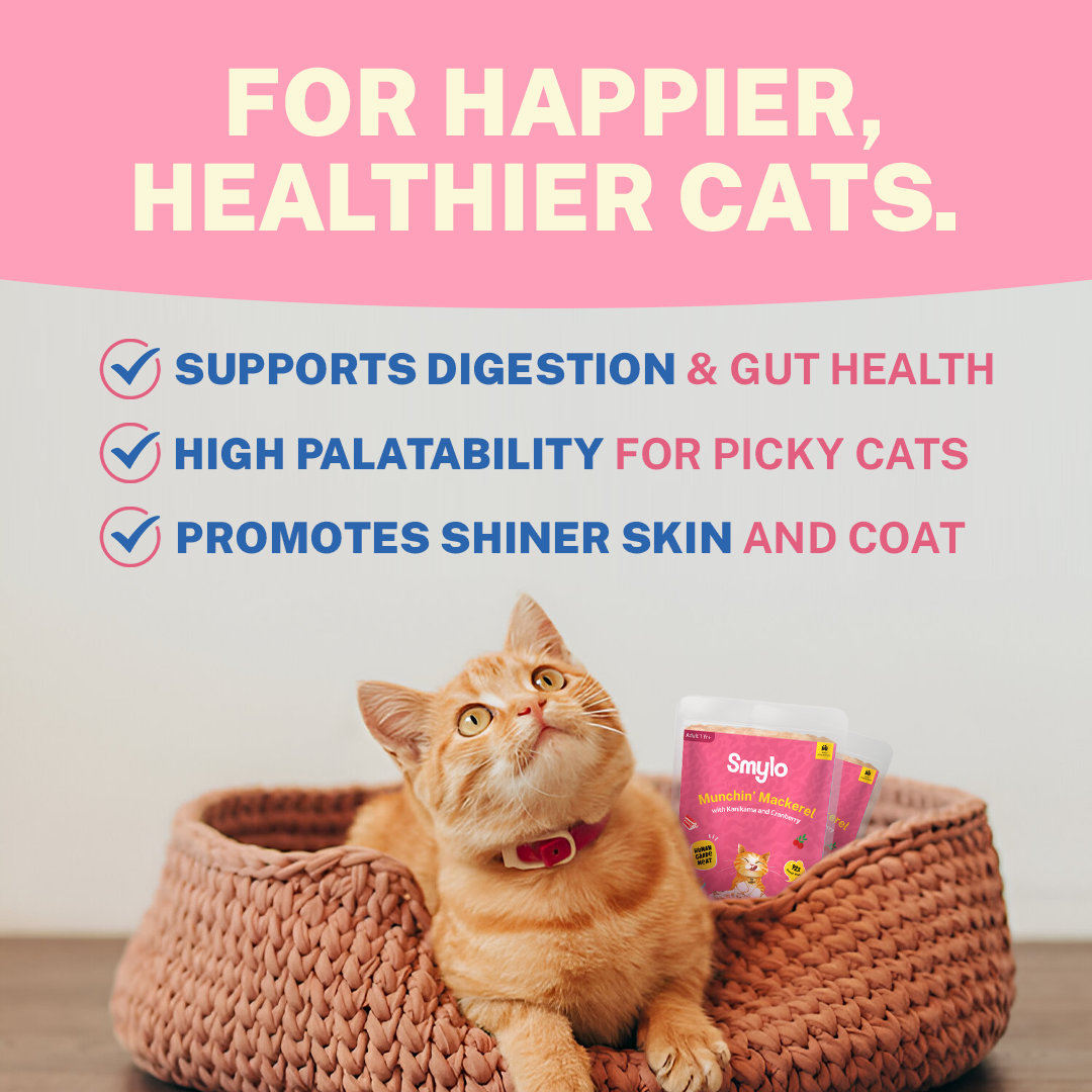 Munchin’ Mackerel with Kanikama & Cranberry (Adult)