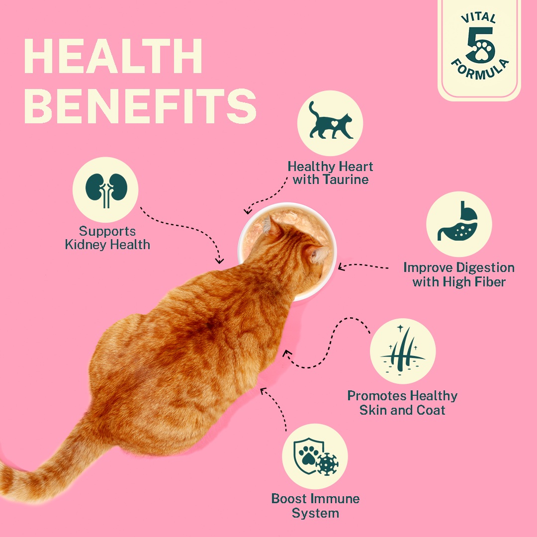 Munchin’ Mackerel with Kanikama & Cranberry (Adult)