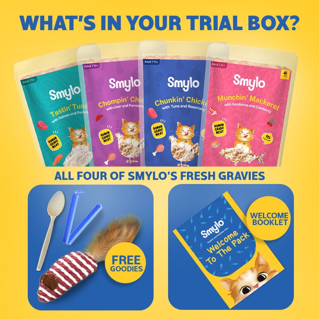 Adult Trial Box (Pack of 4)
