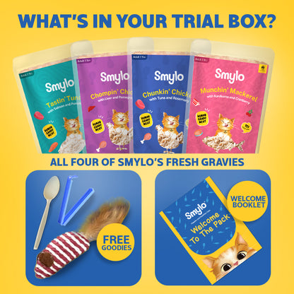Adult Trial Box (Pack of 4)