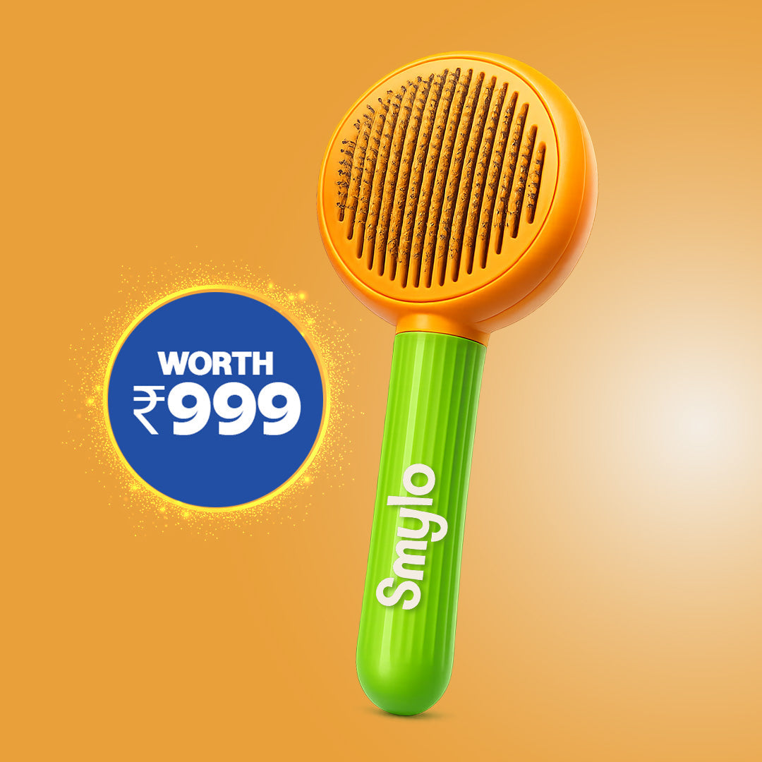 🎁 Smylo Cat Grooming Brush — Worth ₹999