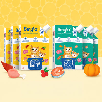 Smylo Bone Broth Combo (Pack of 6)