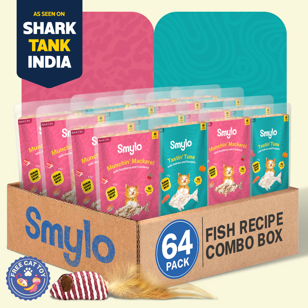 Smylo Fish Combo (Adult) (Pack Of 64)