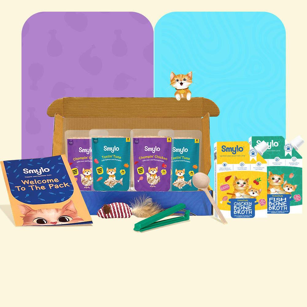 Kitten Starter Box (Pack of 4) with 2 Broths