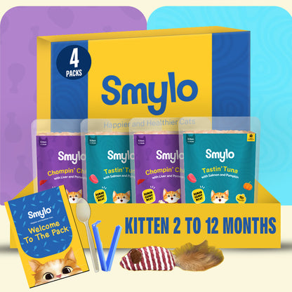 Kitten Trial Box (Pack of 4)