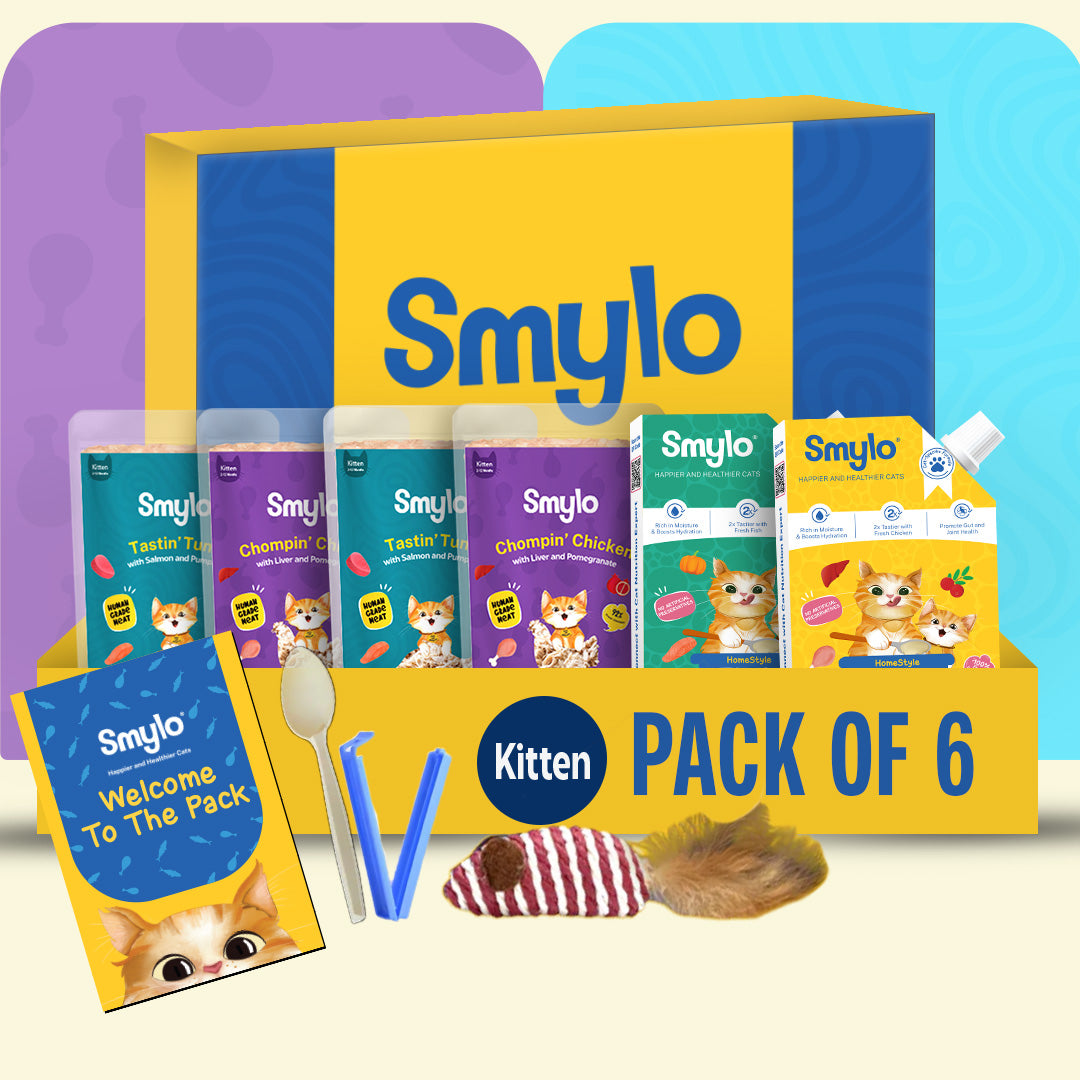 Kitten Trial Box (Pack of 4) with 2 Broths