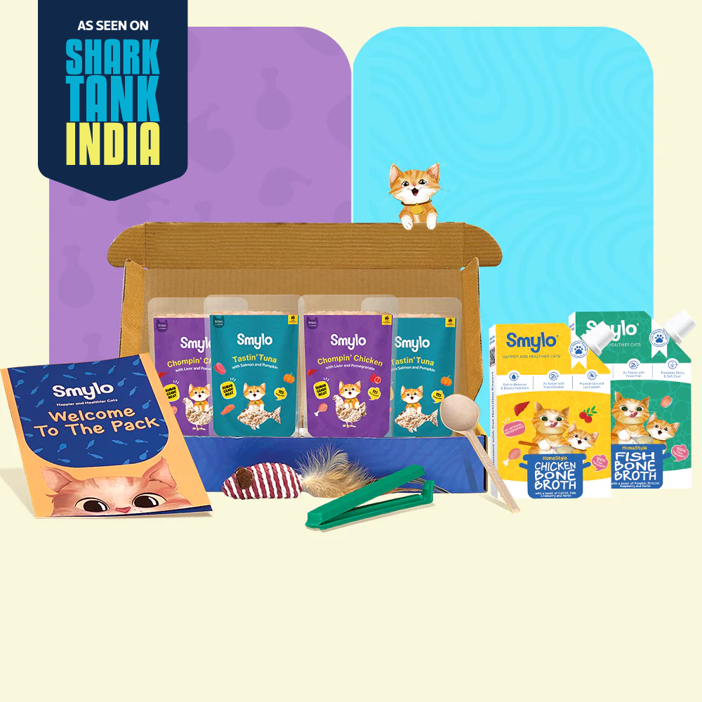 Kitten Trial Box (Pack of 4) with 2 Broths