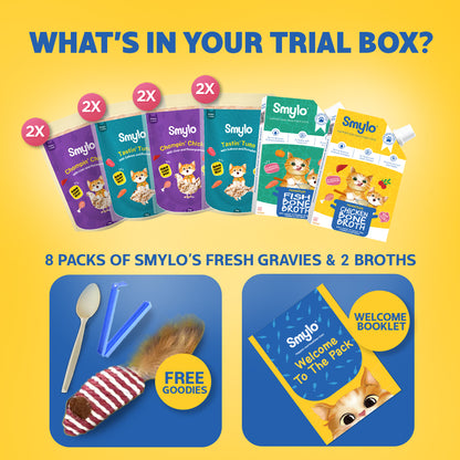 Kitten Trial Box (Pack of 10)