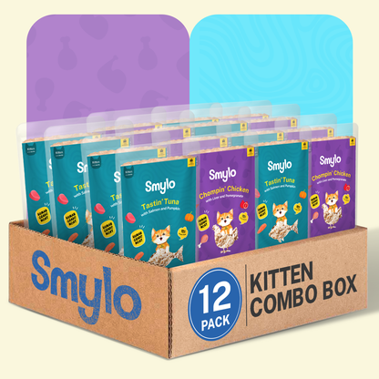 Smylo Kitten Combo Pack