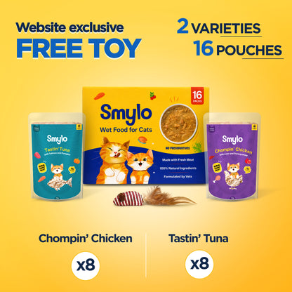 Smylo Kitten Combo Pack