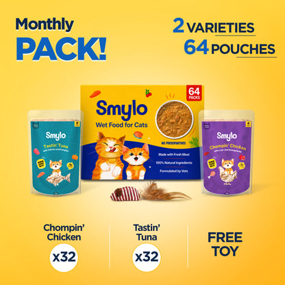 Smylo Kitten Combo Pack Of 64