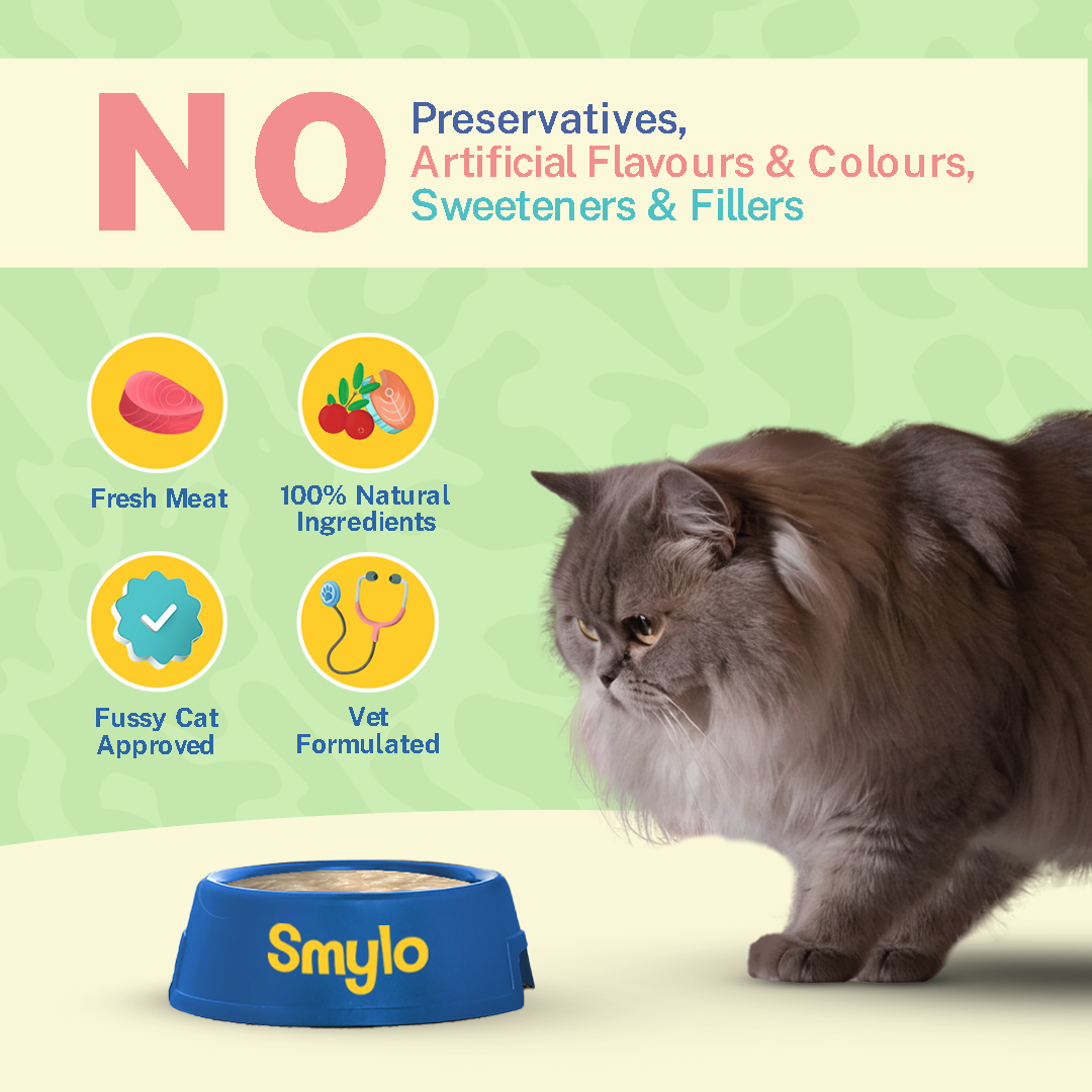 Smylo Fish Combo (Adult) (Pack Of 64)