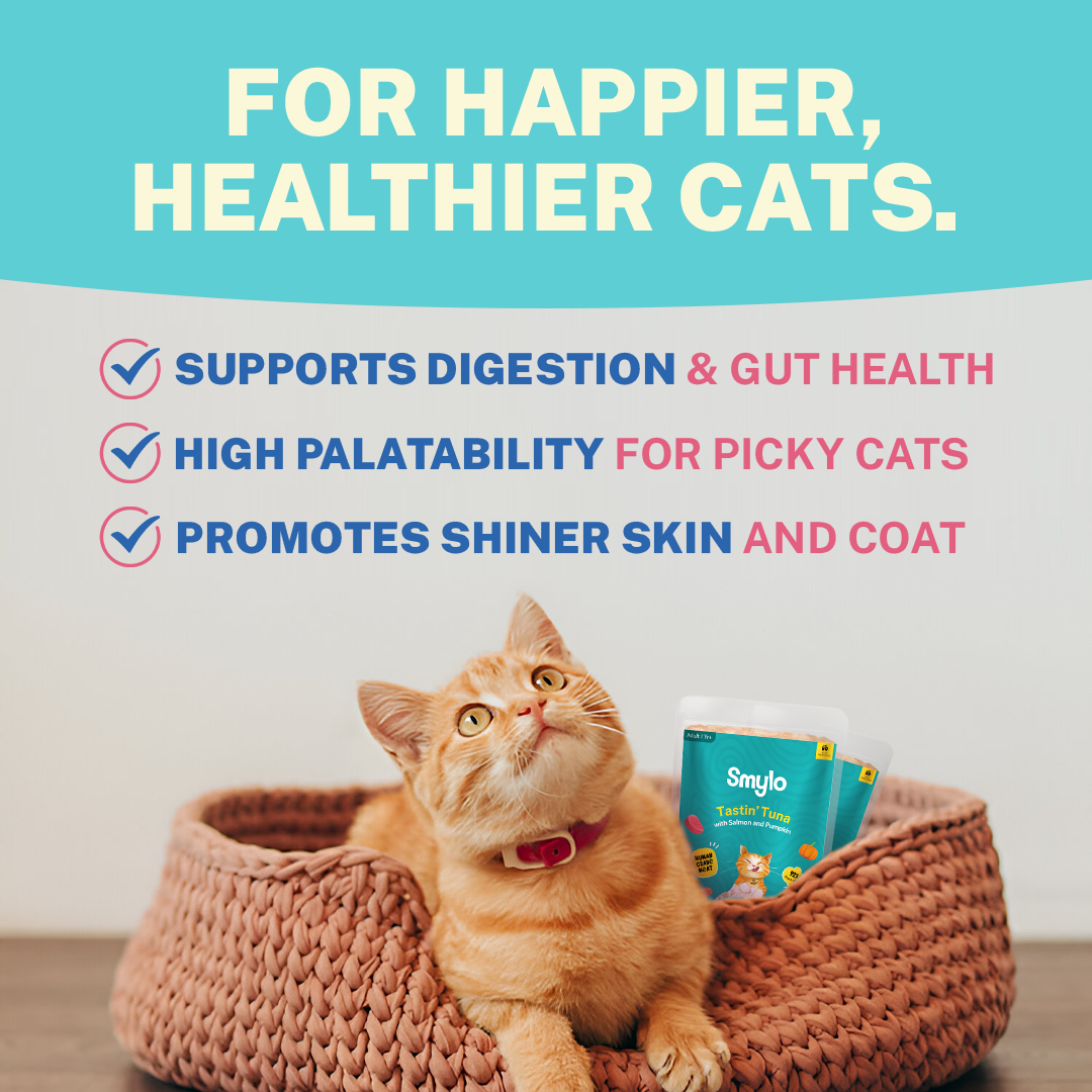 Tastin’ Tuna with Salmon & Pumpkin (Adult)