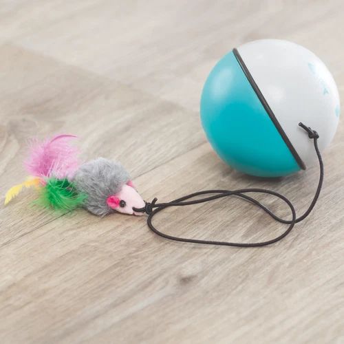 Cat Electric Toy