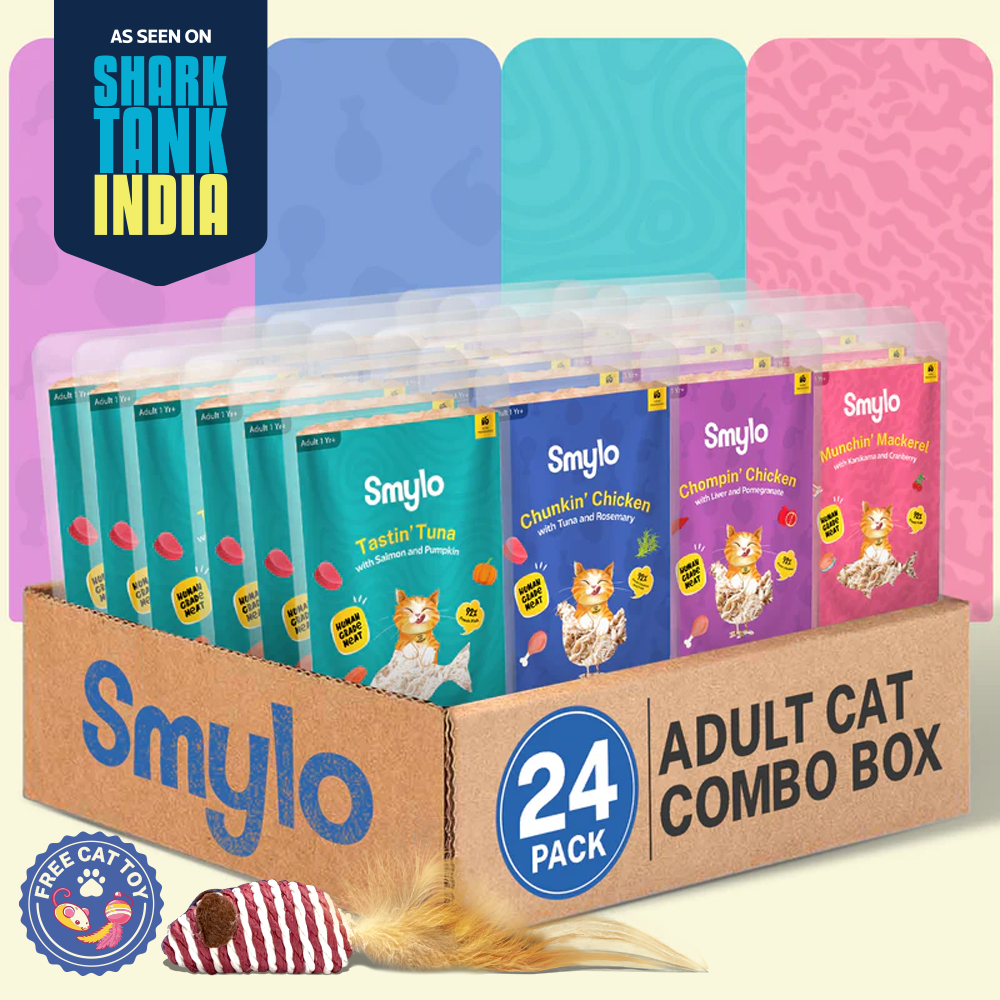 Smylo Adult Combo Pack