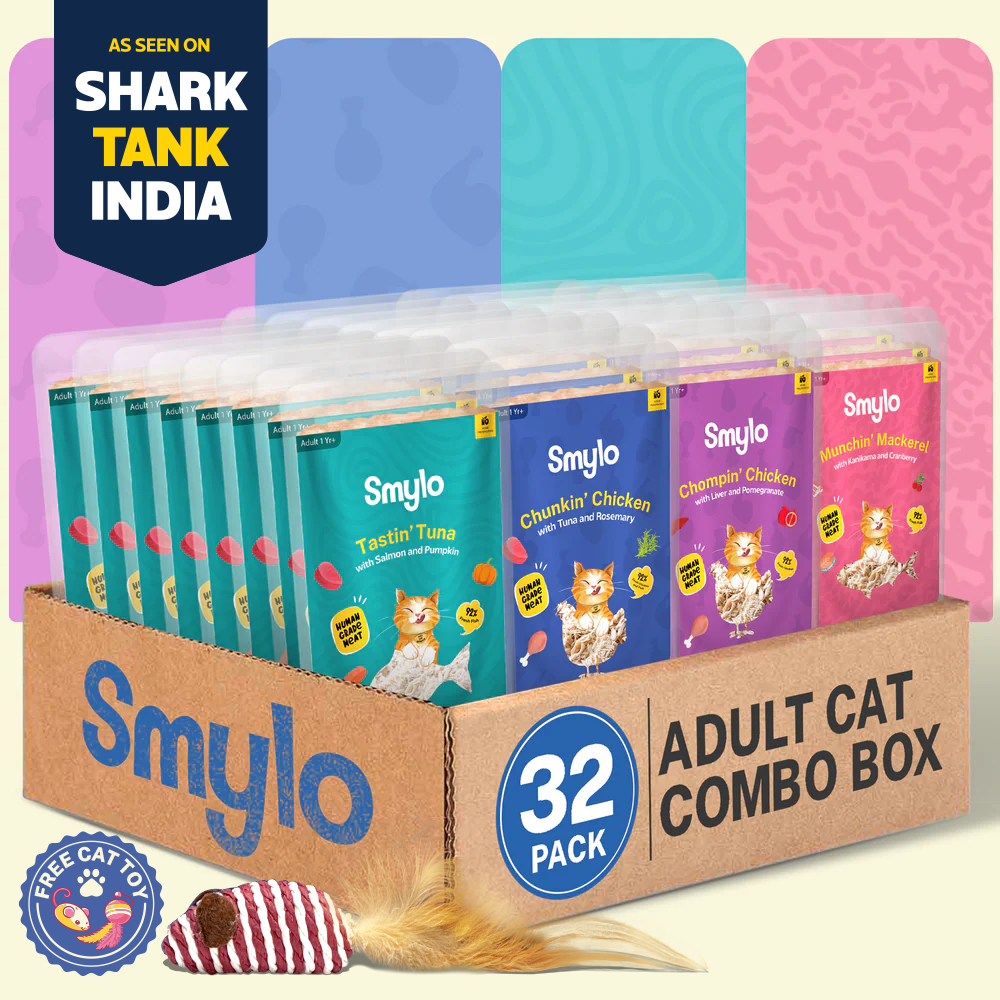 Smylo Adult Combo Pack