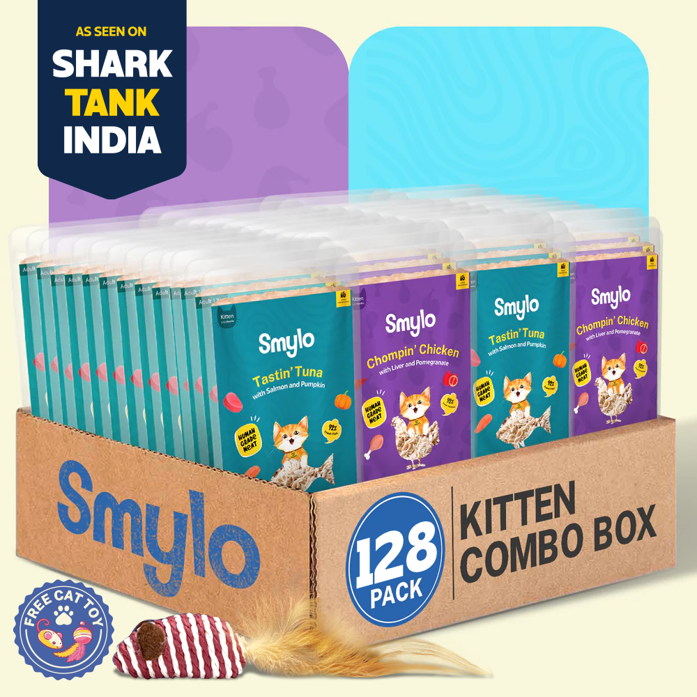 Smylo Kitten Combo Pack