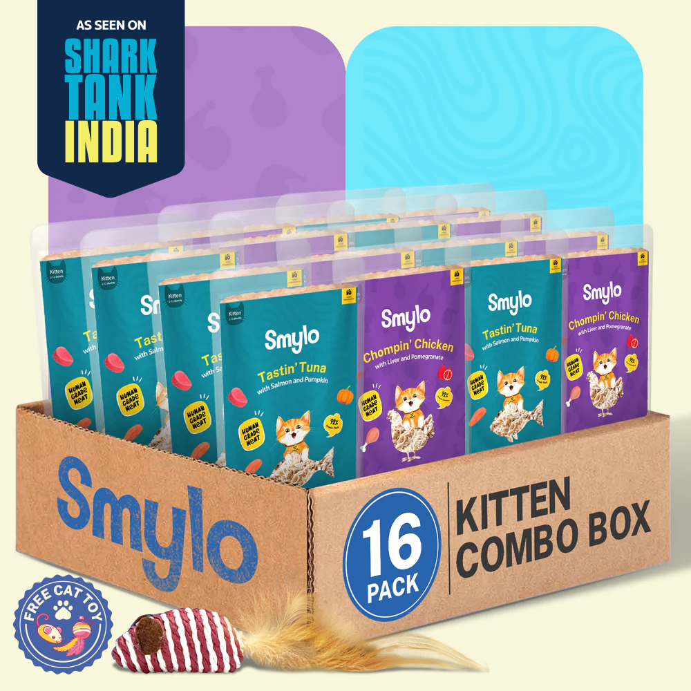 Smylo Kitten Combo Pack