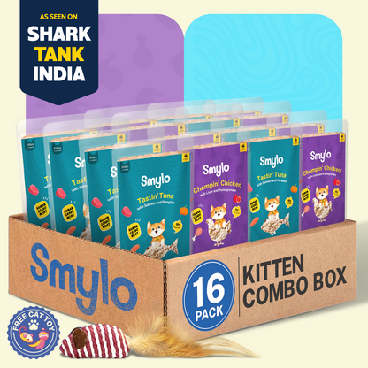 Smylo Kitten Combo Pack
