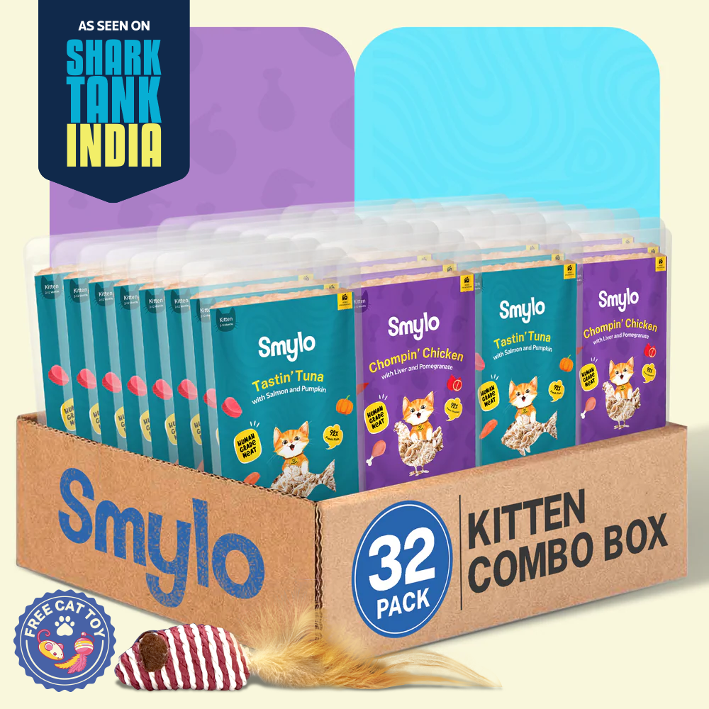 Smylo Kitten Combo Pack