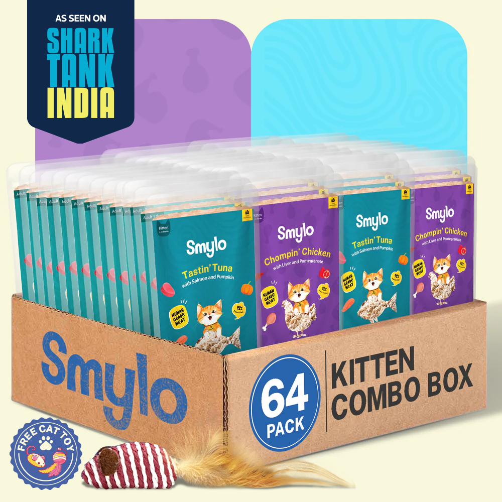 Smylo Kitten Combo Pack