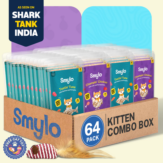 Smylo Kitten Combo Pack Of 64